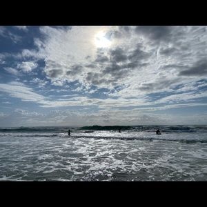 Meet your Posher, Holly